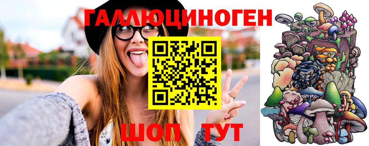 Шебекино  Псилоцибиновые грибы Magic Shrooms  Вход с VPN 